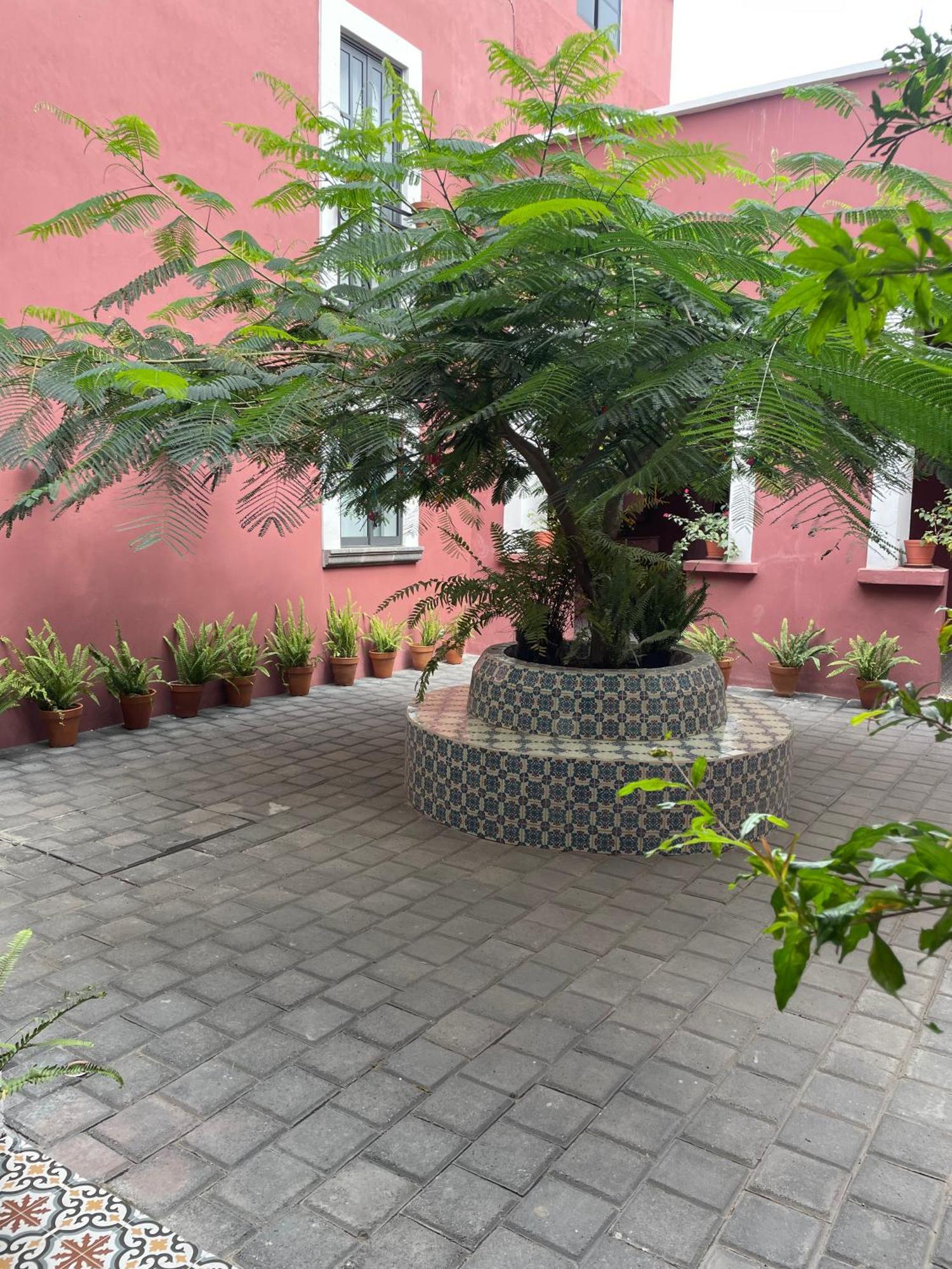 Quinta La Perla Vandrarhem Guadalajara Exteriör bild